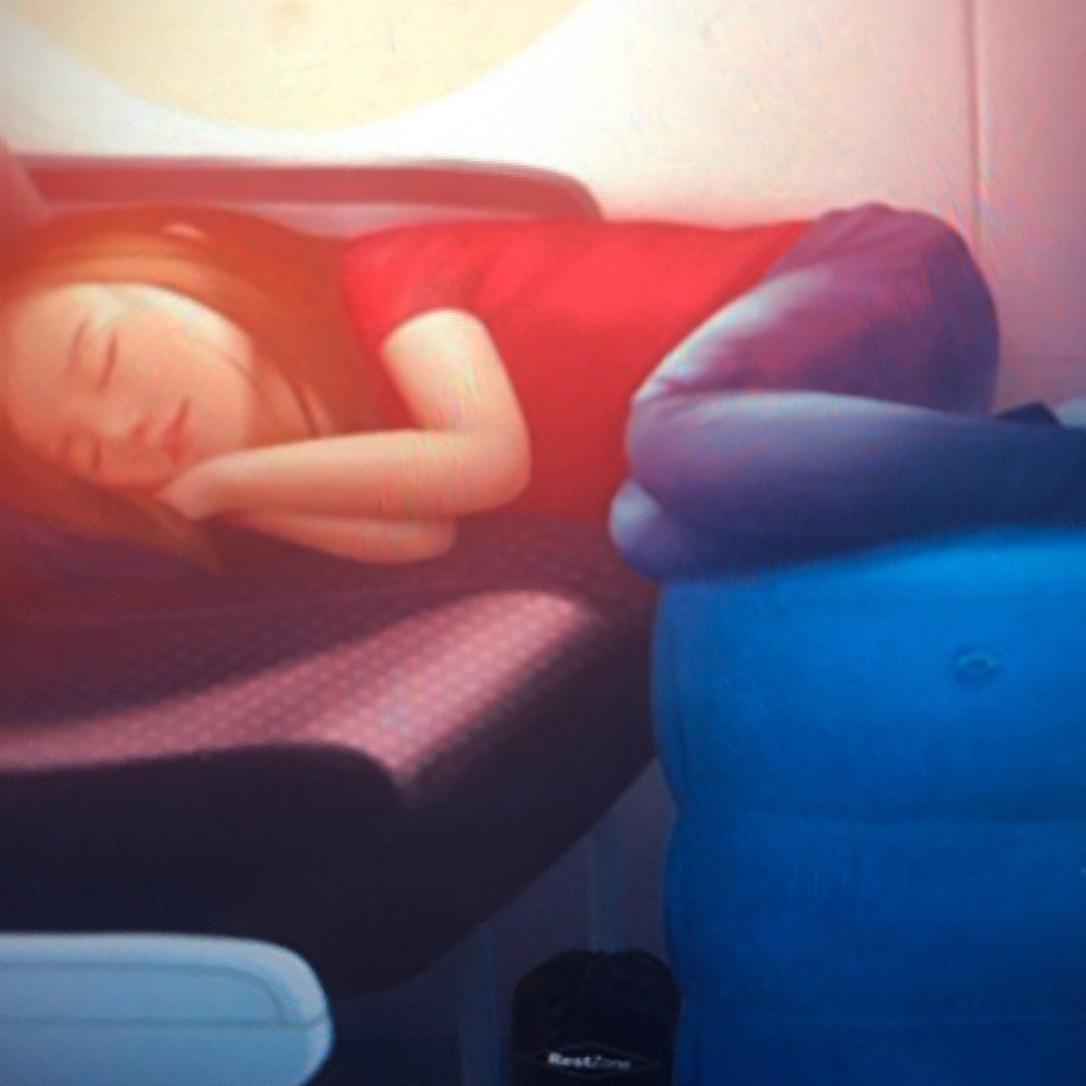 Wap kids travel pillow